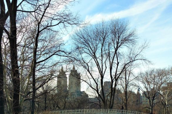 Central Park Esencial de New York