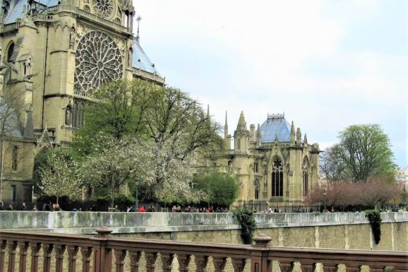Ruta Notre Dame - 7 paseos para amar París